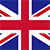 Selected language flag